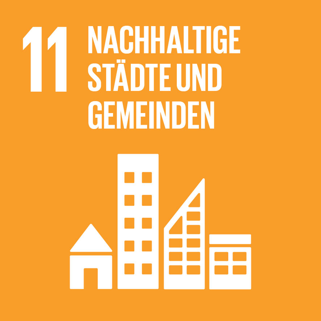 SDG icon DE 11