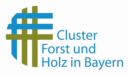 Logo Cluster FH
